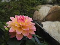 吾鄉(xiāng)山舍外環(huán)境6