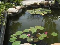 吾鄉(xiāng)山舍外環(huán)境4