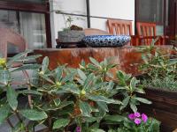 吾鄉(xiāng)山舍外環(huán)境3